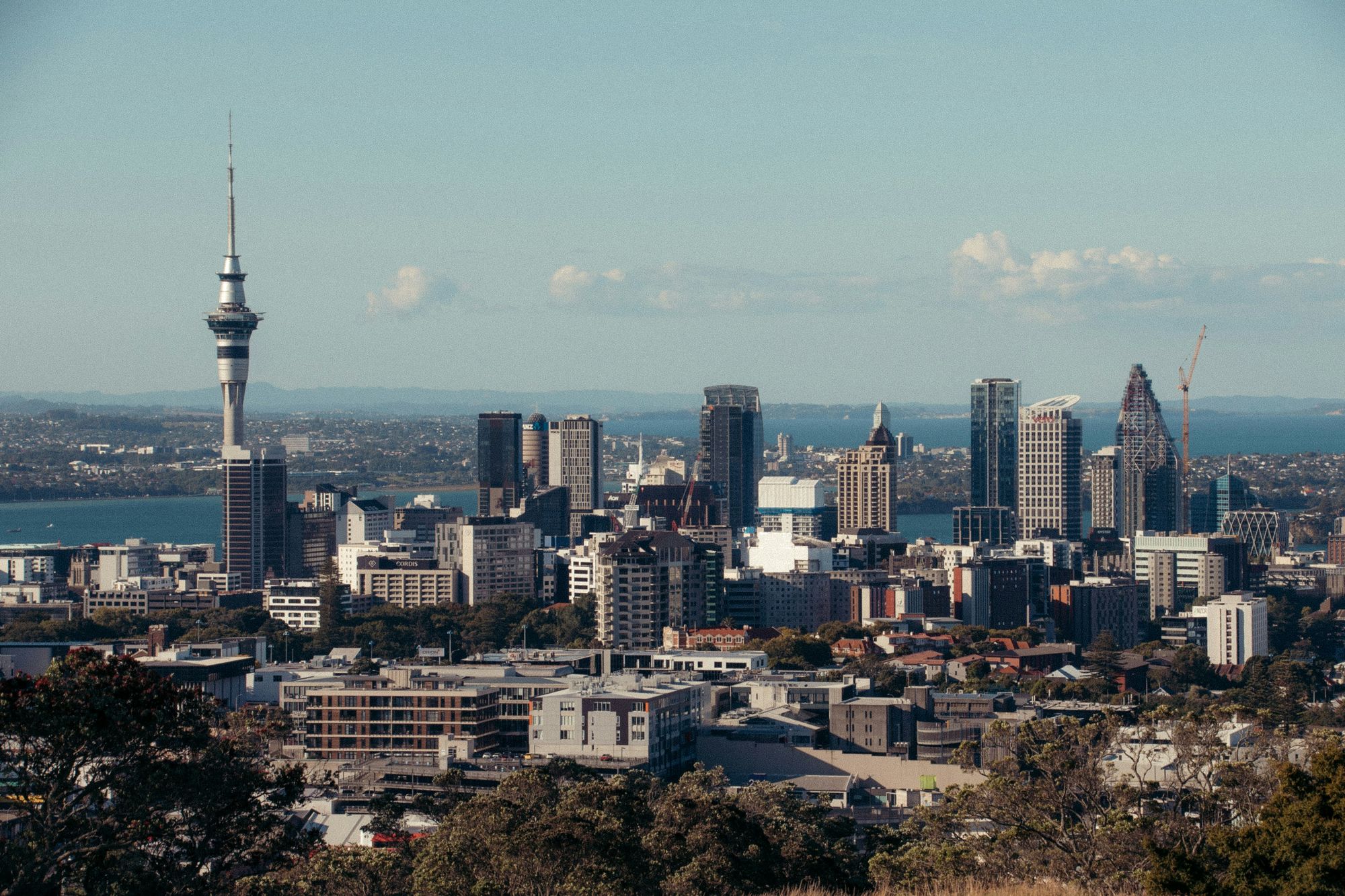 The Auckland city skyline and Sky Tower at sunset, seen from Maungawhau Mount Eden