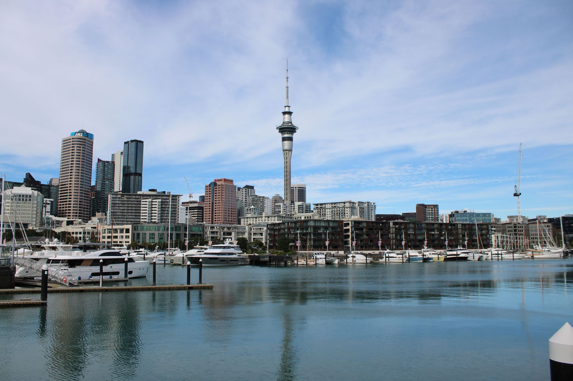 Auckland skyline and Sky Tower across the marina