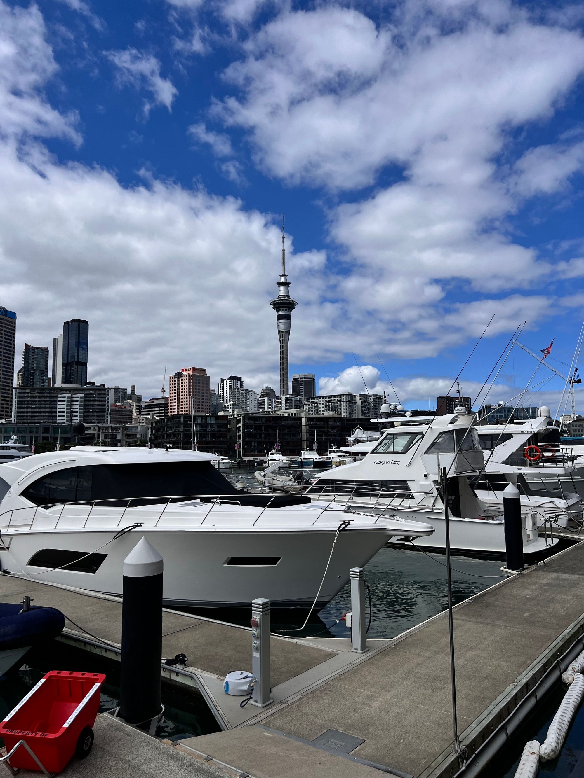 Yachts in an Auckland marina with the Sky Tower behind