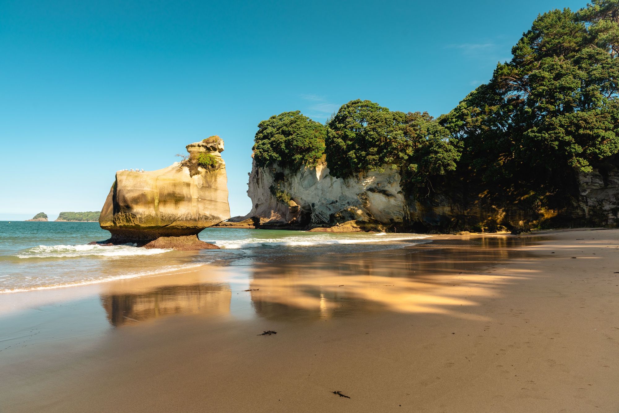Te Hoho rock and the beach at Cathedral Cove, Coromandel