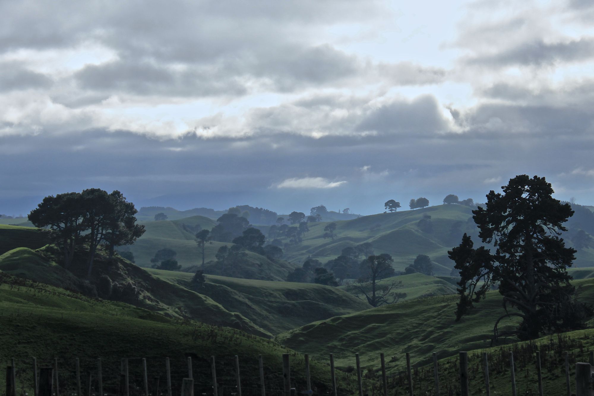 Green pastures and farmland in the Waikato