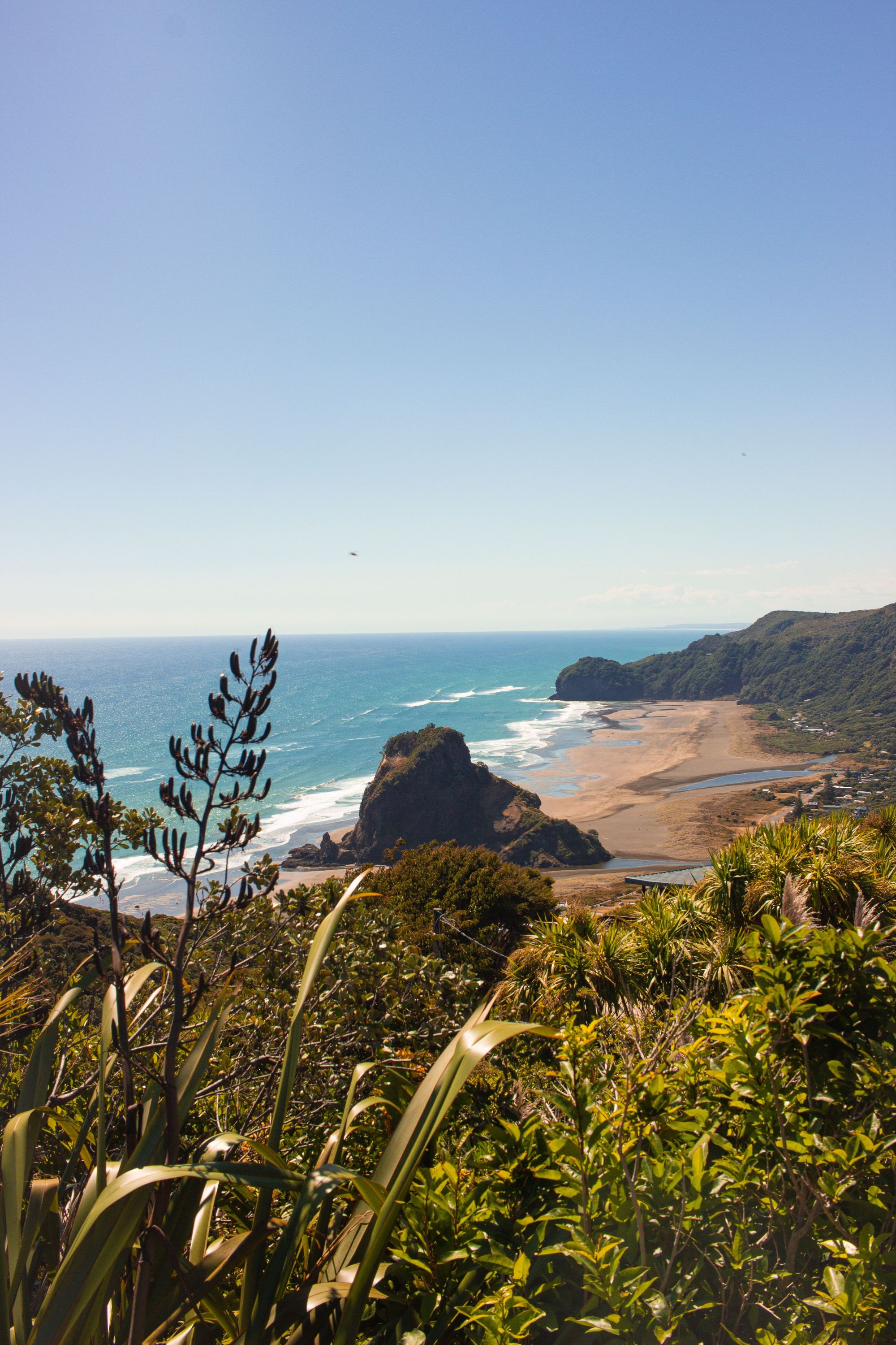 Piha beach and Lion Rock from above