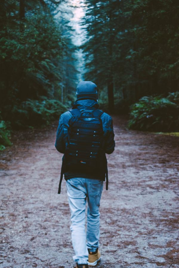 A walker on a trail through the Redwoods, Whakarewarewa Forest