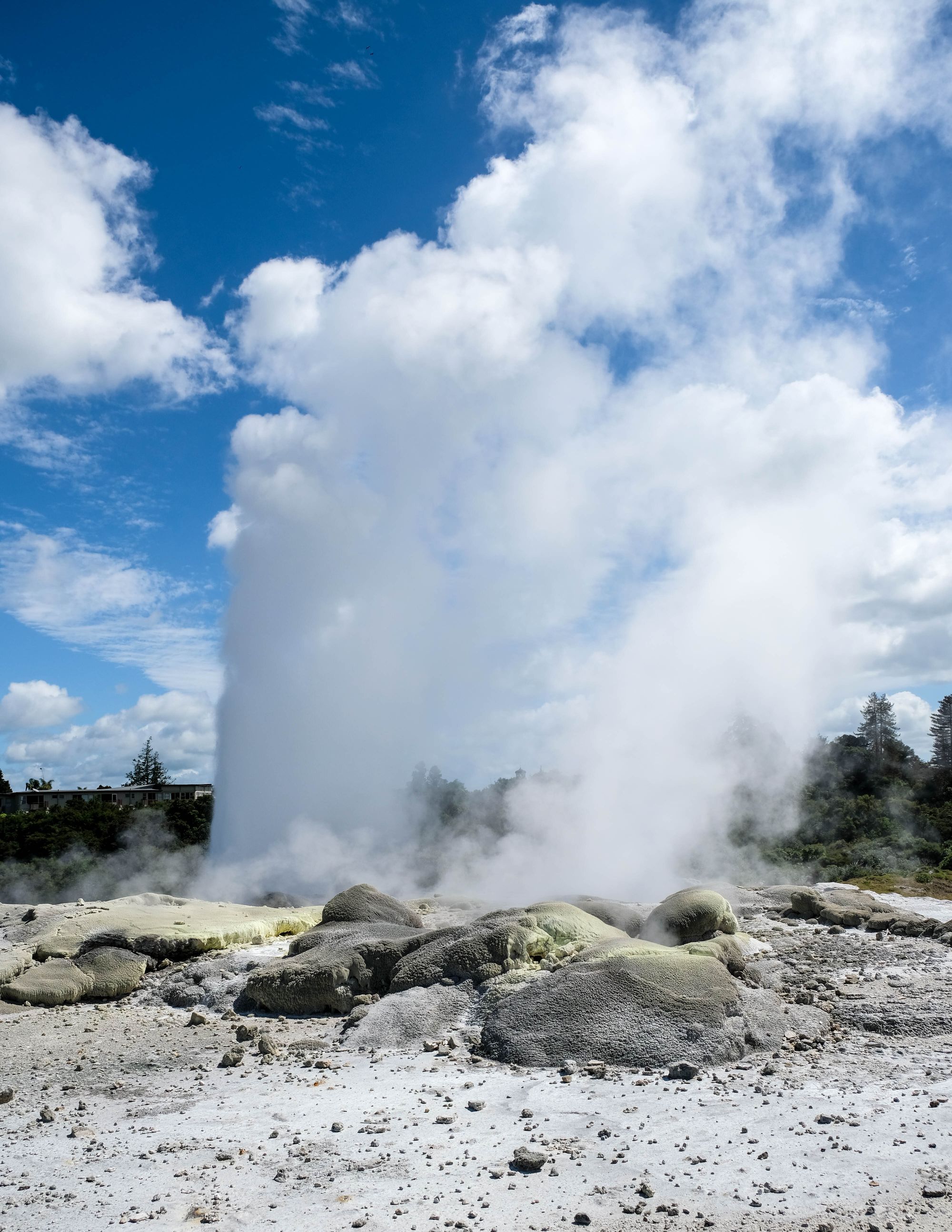 Pōhutu geyser erupting, Rotorua