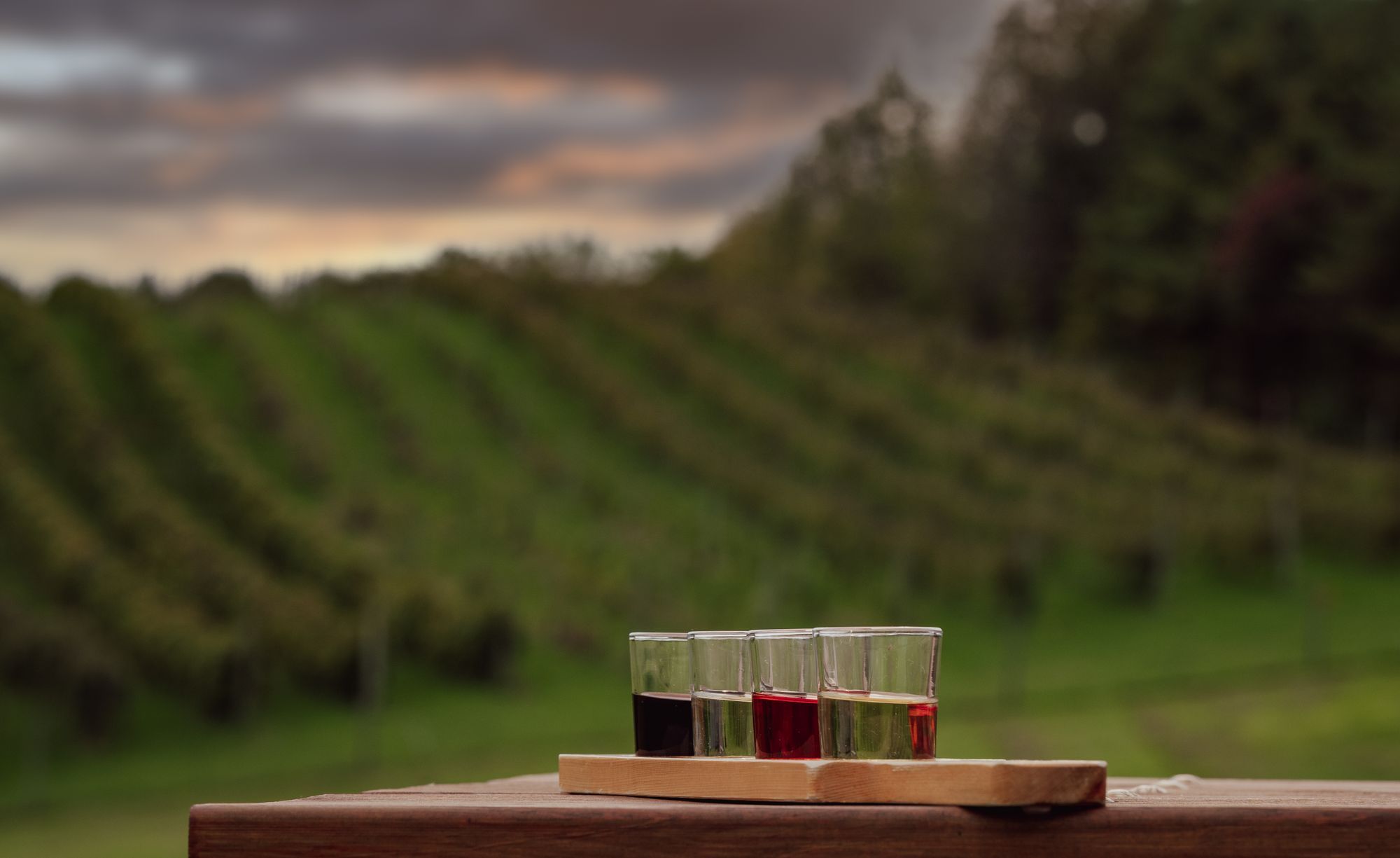 A wine tasting flight on a wooden table in front of vine rows