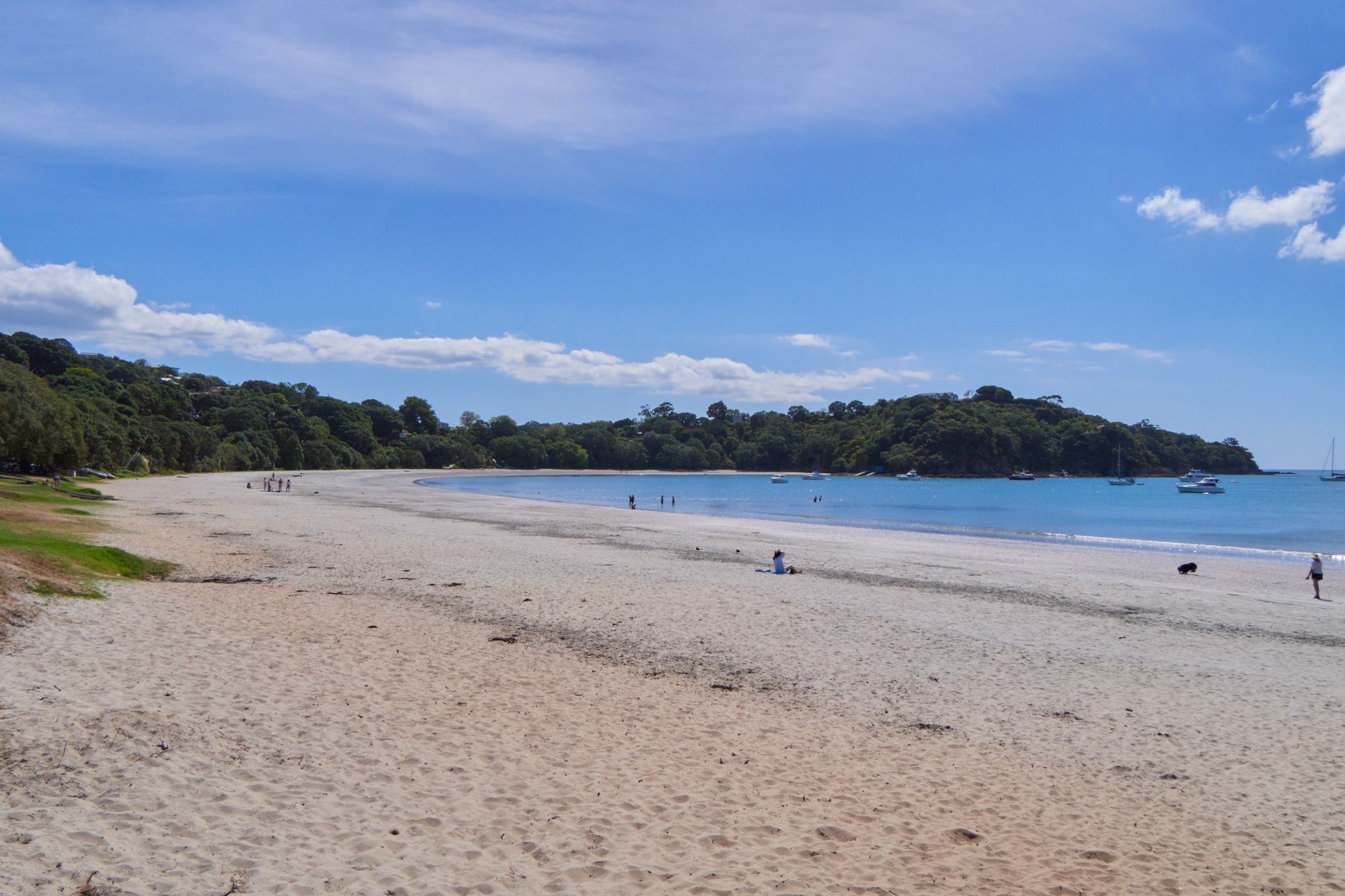 A quiet beach and bay on Waiheke Island